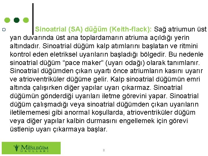○ Sinoatrial (SA) düğüm (Keith-flack): Sağ atriumun üst yan duvarında üst ana toplardamarın atriuma