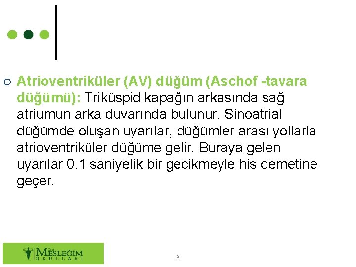 ○ Atrioventriküler (AV) düğüm (Aschof -tavara düğümü): Triküspid kapağın arkasında sağ atriumun arka duvarında