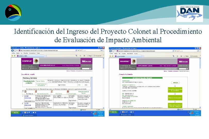 Identificación del Ingreso del Proyecto Colonet al Procedimiento de Evaluación de Impacto Ambiental 