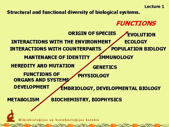 Lecture 1 Structural and functional diversity of biological systems. FUNCTIONS ORIGIN OF SPECIES EVOLUTION