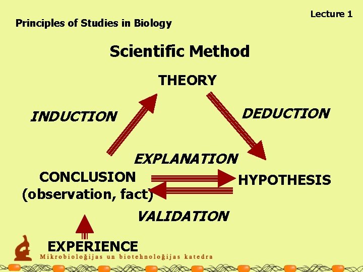 Lecture 1 Principles of Studies in Biology Scientific Method THEORY DEDUCTION INDUCTION EXPLANATION CONCLUSION
