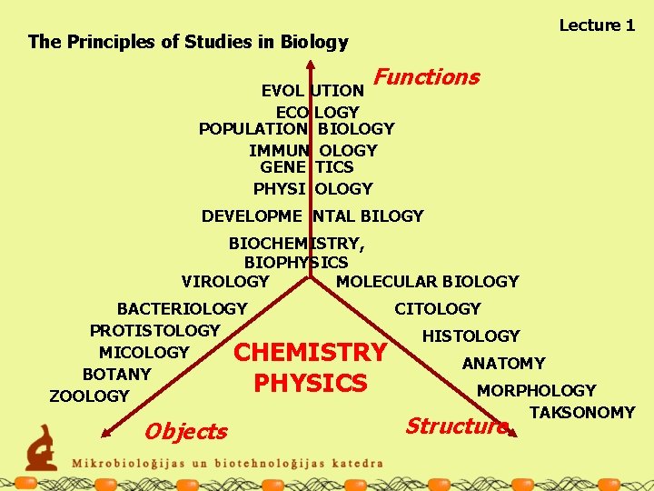 Lecture 1 The Principles of Studies in Biology Functions EVOL UTION ECO LOGY POPULATION