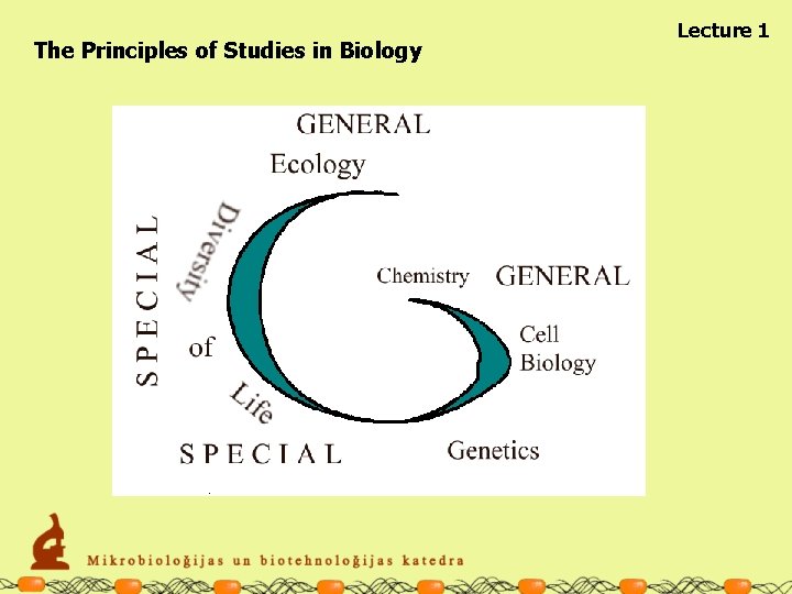 The Principles of Studies in Biology Lecture 1 