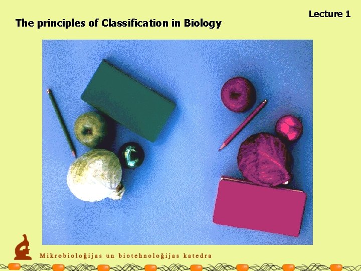 The principles of Classification in Biology Lecture 1 