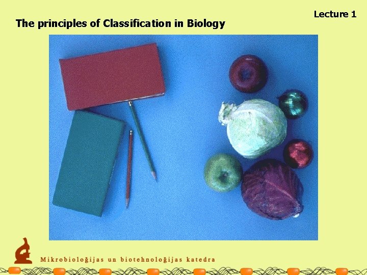 The principles of Classification in Biology Lecture 1 