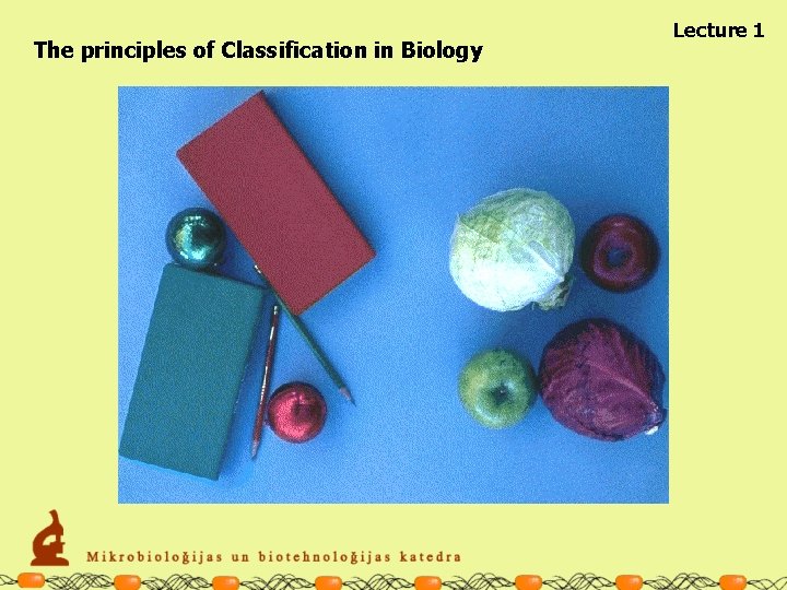 The principles of Classification in Biology Lecture 1 