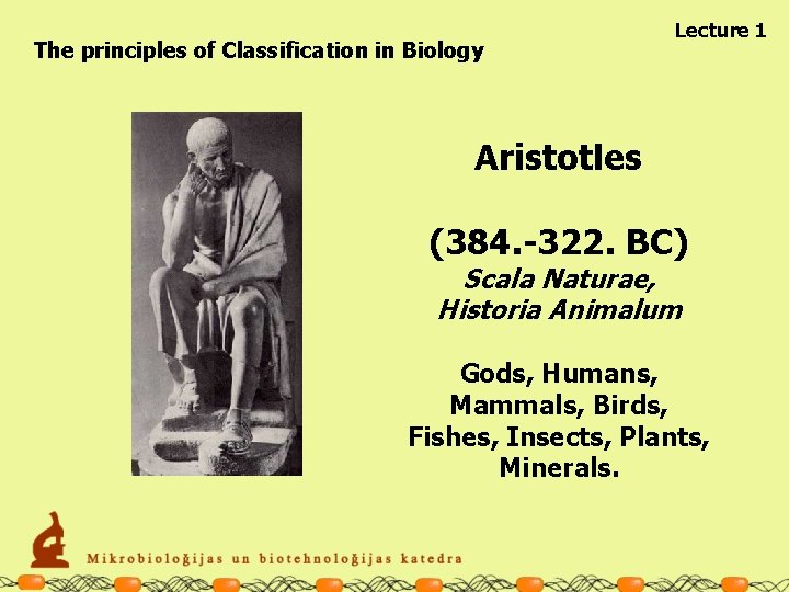 The principles of Classification in Biology Lecture 1 Aristotles (384. -322. BC) Scala Naturae,