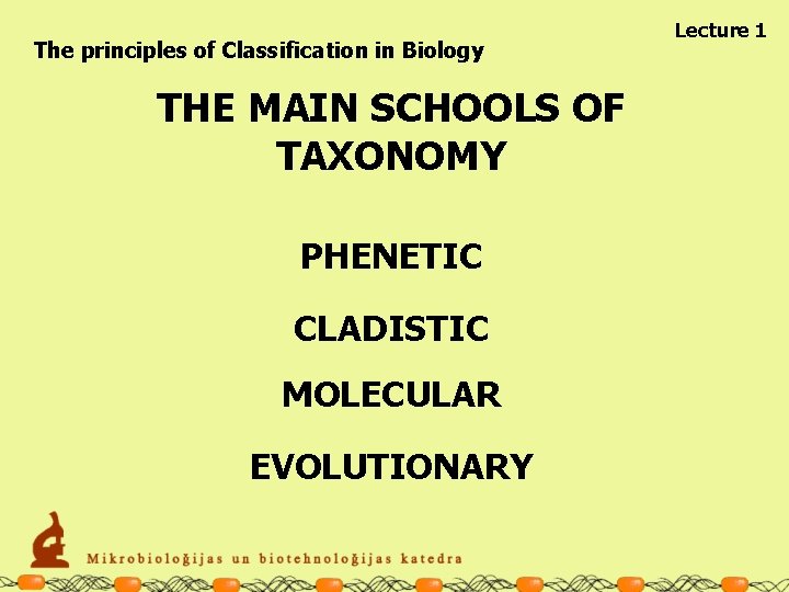 The principles of Classification in Biology THE MAIN SCHOOLS OF TAXONOMY PHENETIC CLADISTIC MOLECULAR