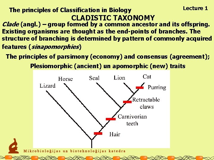 The principles of Classification in Biology Lecture 1 CLADISTIC TAXONOMY Clade (angl. ) –