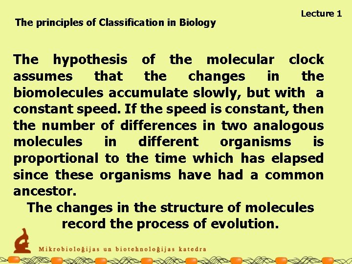 The principles of Classification in Biology Lecture 1 The hypothesis of the molecular clock