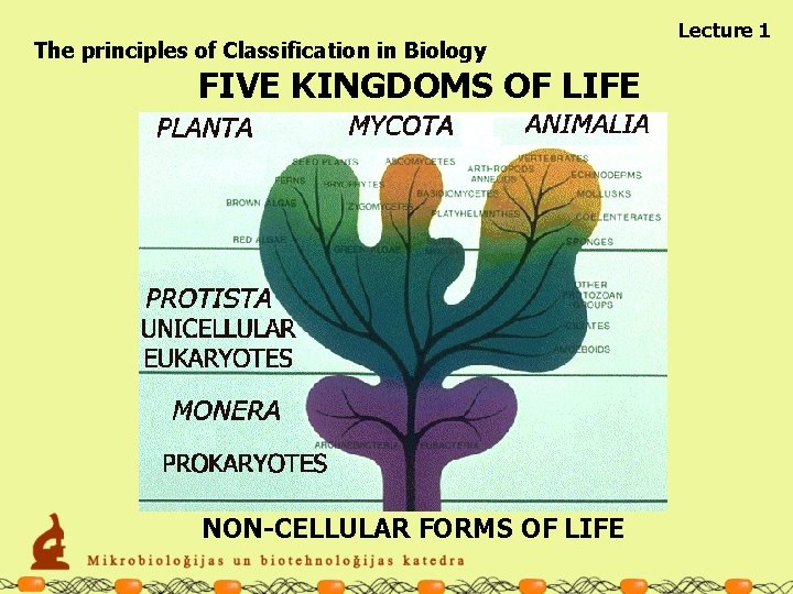 The principles of Classification in Biology FIVE KINGDOMS OF LIFE NON-CELLULAR FORMS OF LIFE