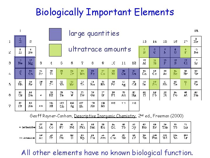 Biologically Important Elements large quantities ultratrace amounts 105 Db 107 Bh Geoff Rayner-Canham, Descriptive