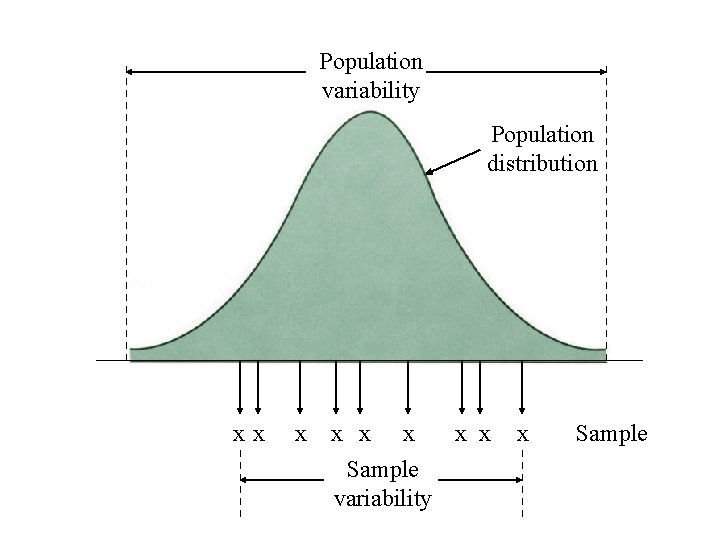 Population variability Population distribution xx x x x Sample variability x Sample 