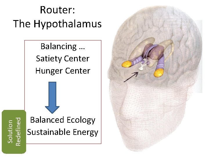 Router: The Hypothalamus Solution Redefined Balancing … Satiety Center Hunger Center Balanced Ecology Sustainable