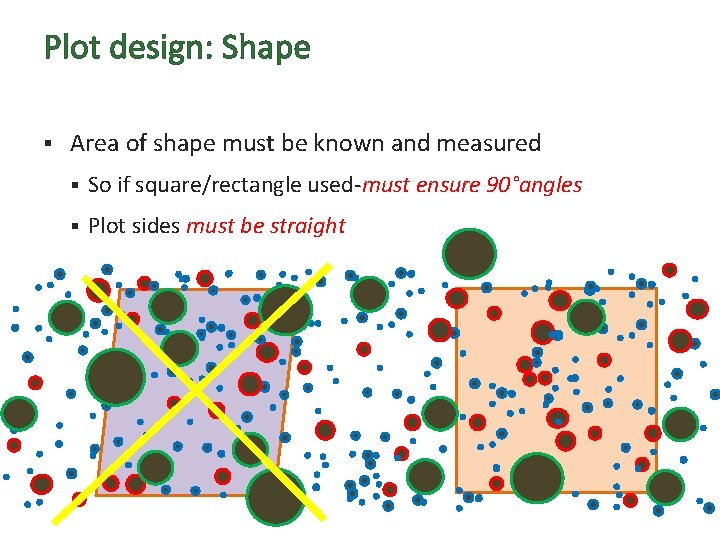 Plot design: Shape § Area of shape must be known and measured § So