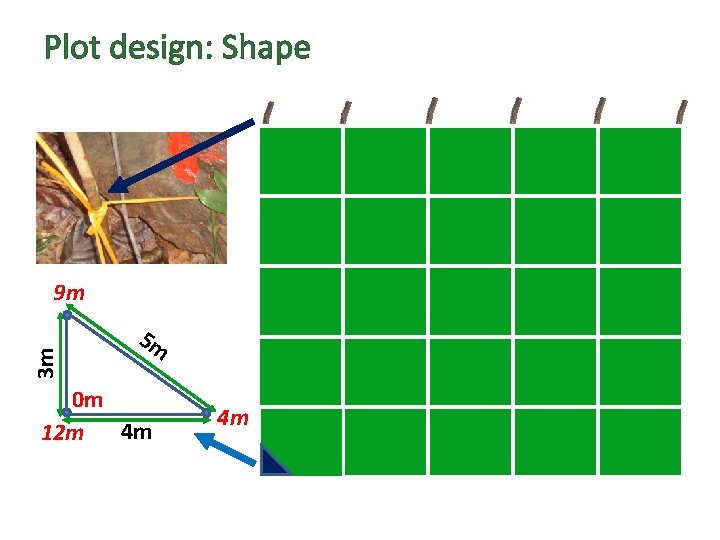 Plot design: Shape Answers: 3 m 9 m 5 m 0 m 4 m