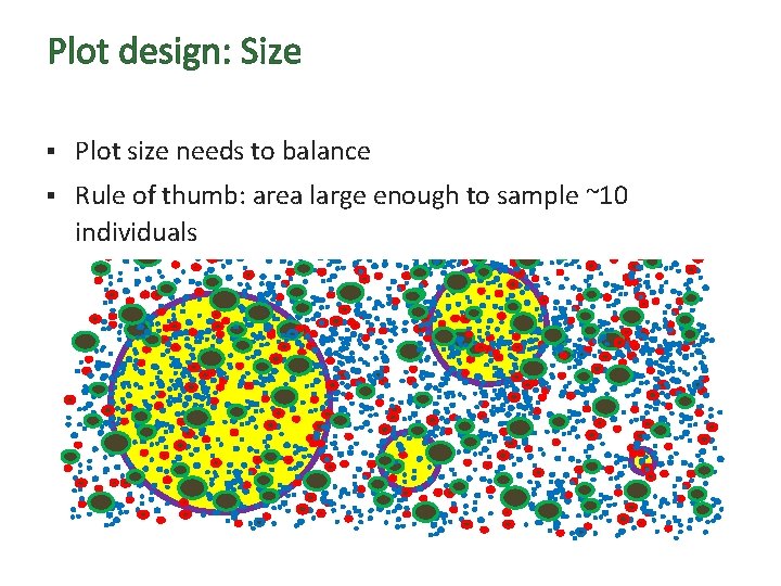 Plot design: Size § Plot size needs to balance § Rule of thumb: area
