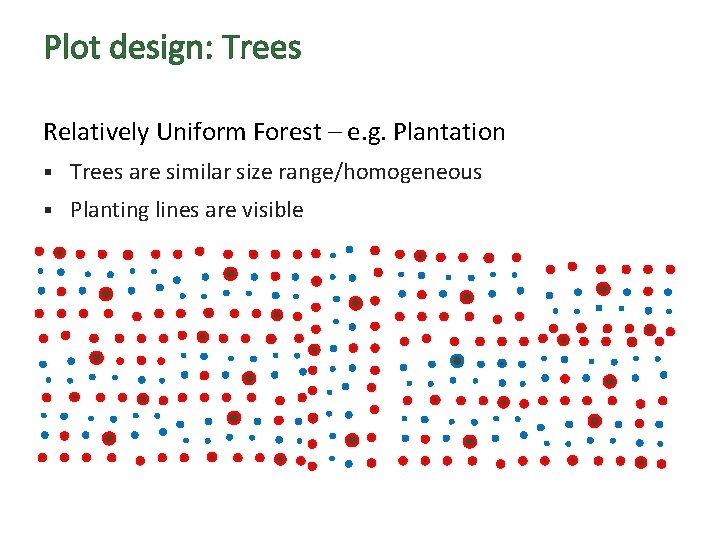 Plot design: Trees Relatively Uniform Forest – e. g. Plantation § Trees are similar