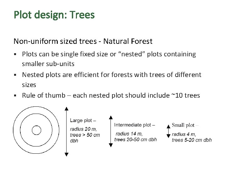 Plot design: Trees Non-uniform sized trees - Natural Forest Plots can be single fixed