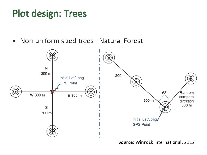 Plot design: Trees § Non-uniform sized trees - Natural Forest Source: Winrock International, 2012
