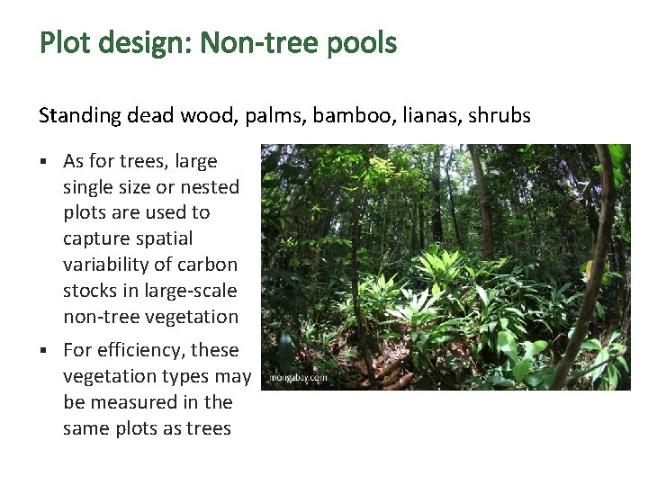 Plot design: Non-tree pools Standing dead wood, palms, bamboo, lianas, shrubs § As for