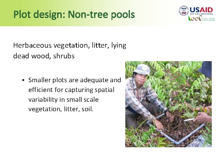 Plot design: Non-tree pools Herbaceous vegetation, litter, lying dead wood, shrubs § Smaller plots