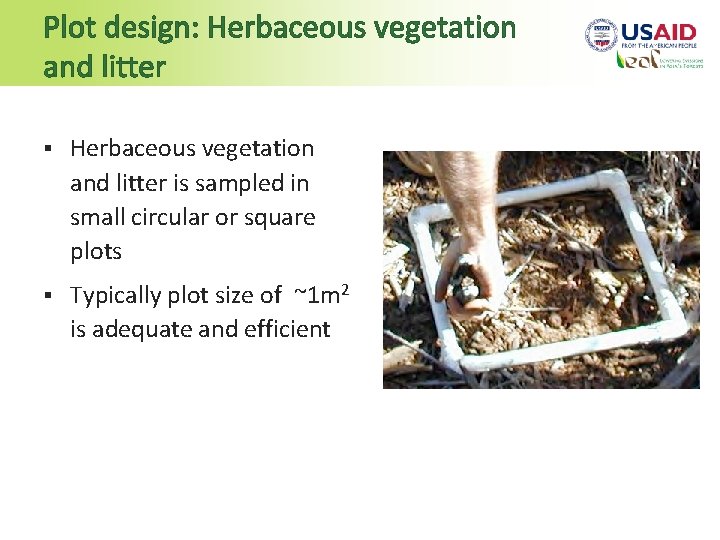 Plot design: Herbaceous vegetation and litter § Herbaceous vegetation and litter is sampled in