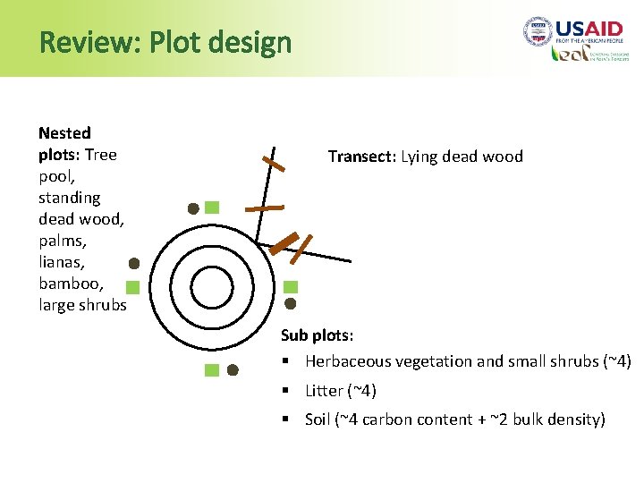 Review: Plot design Nested plots: Tree pool, standing dead wood, palms, lianas, bamboo, large