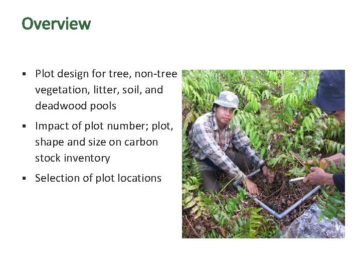 Overview § Plot design for tree, non-tree vegetation, litter, soil, and deadwood pools §