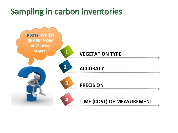 Sampling in carbon inventories PLOTS: WHICH SHAPE? HOW BIG? HOW MANY? 1 VEGETATION TYPE