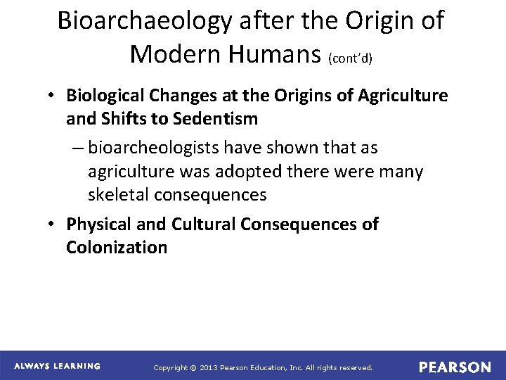 Bioarchaeology after the Origin of Modern Humans (cont’d) • Biological Changes at the Origins