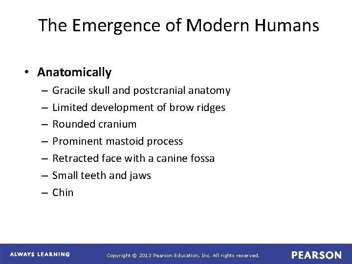 The Emergence of Modern Humans • Anatomically – – – – Gracile skull and