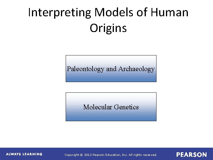 Interpreting Models of Human Origins Paleontology and Archaeology Molecular Genetics Copyright © 2013 Pearson