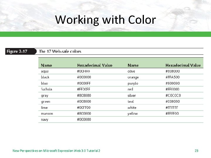 Working with Color New Perspectives on Microsoft Expression Web 3. 0 Tutorial 2 23