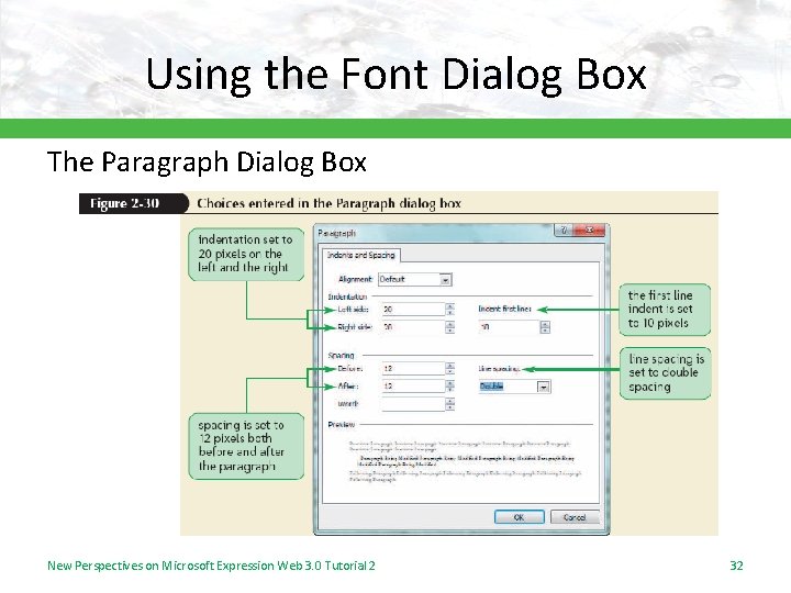 Using the Font Dialog Box The Paragraph Dialog Box New Perspectives on Microsoft Expression