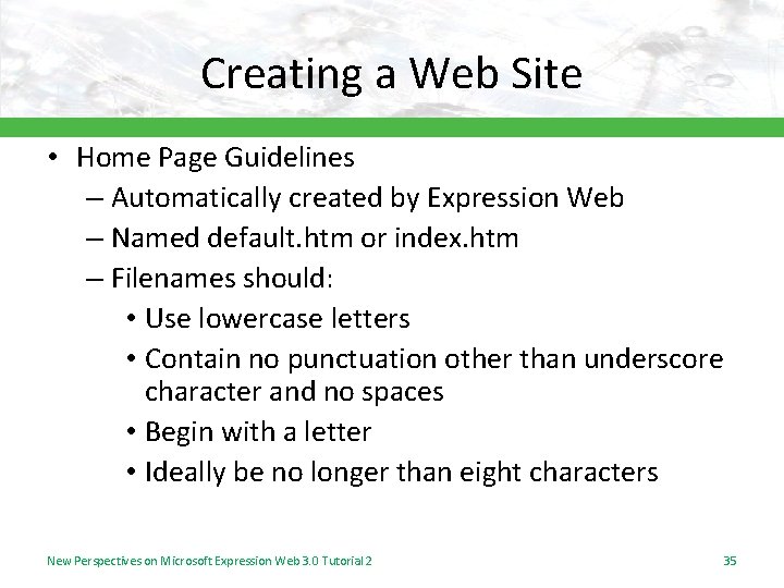 Creating a Web Site • Home Page Guidelines – Automatically created by Expression Web