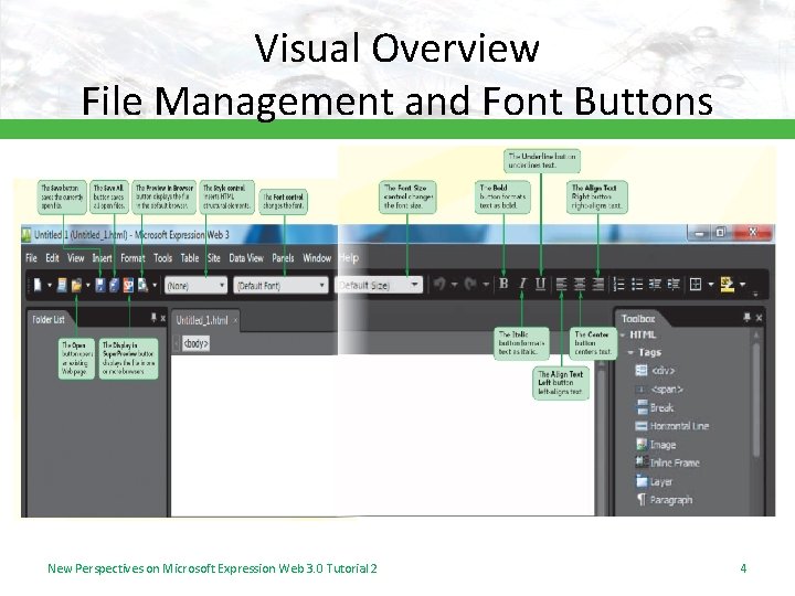 Visual Overview File Management and Font Buttons New Perspectives on Microsoft Expression Web 3.