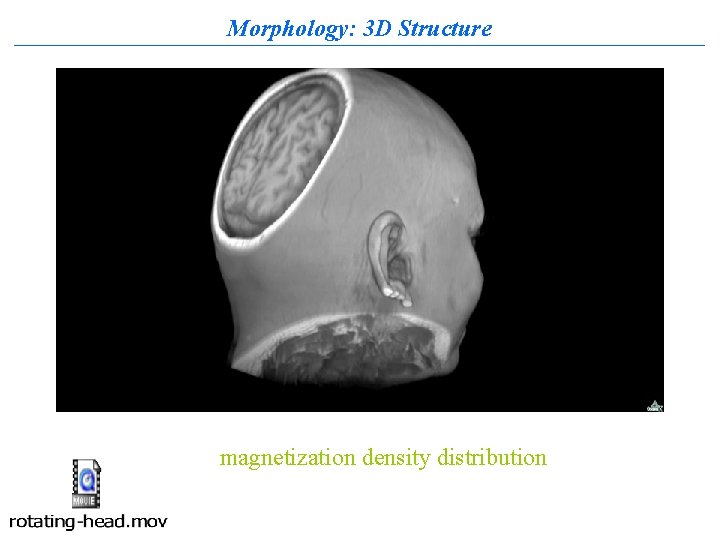 Morphology: 3 D Structure magnetization density distribution 