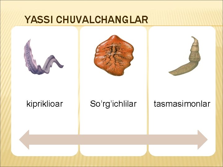 YASSI CHUVALCHANGLAR kipriklioar So’rg’ichlilar tasmasimonlar 