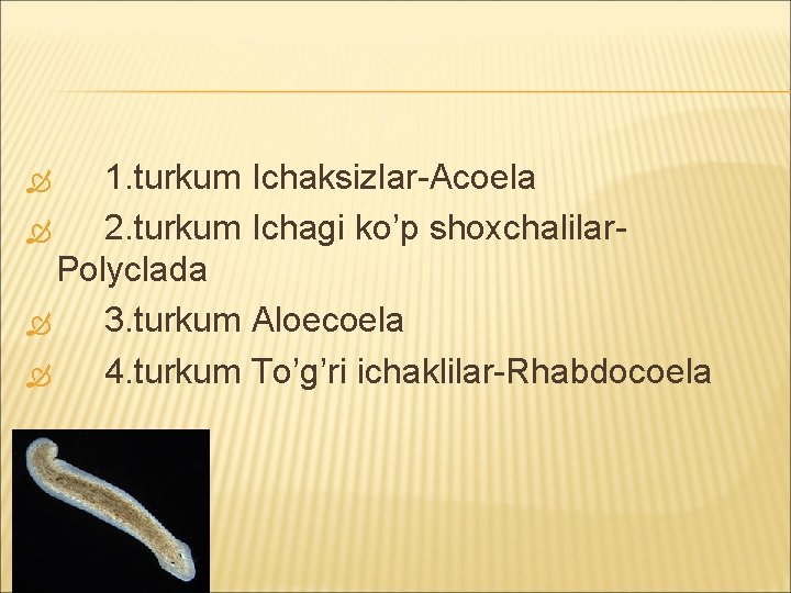 1. turkum Ichаksizlаr-Acoela 2. turkum Ichаgi ko’p shoxchаlilаr. Polyclada 3. turkum Aloecoela 4. turkum