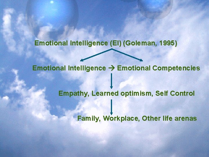 Emotional Intelligence (EI) (Goleman, 1995) Emotional Intelligence Emotional Competencies Empathy, Learned optimism, Self Control