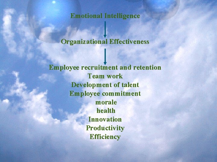 Emotional Intelligence Organizational Effectiveness Employee recruitment and retention Team work Development of talent Employee