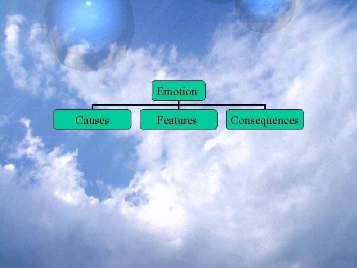 Emotion Causes Features Consequences 