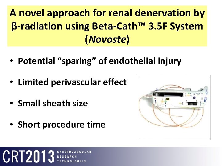 A novel approach for renal denervation by β-radiation using Beta-Cath™ 3. 5 F System