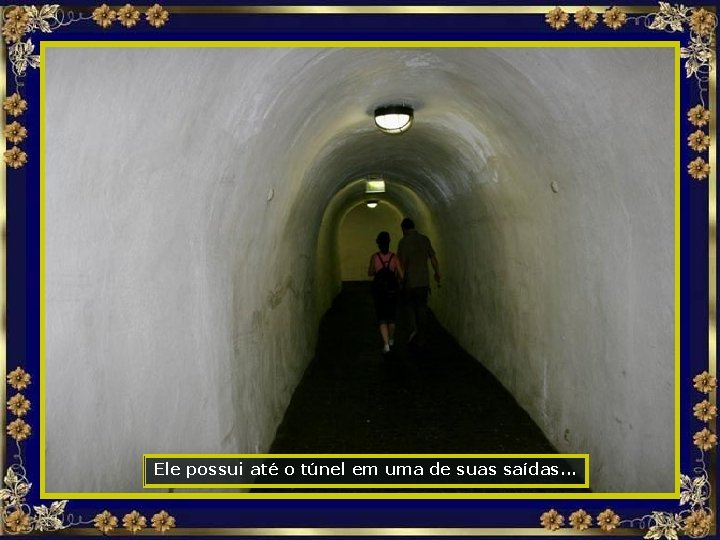Ele possui até o túnel em uma de suas saídas. . . 