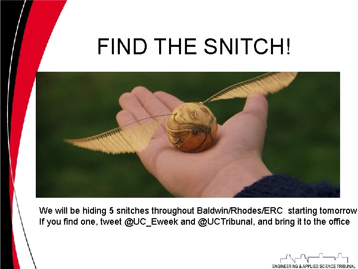 FIND THE SNITCH! We will be hiding 5 snitches throughout Baldwin/Rhodes/ERC starting tomorrow If