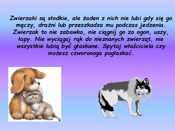 Zwierzaki są słodkie, ale żaden z nich nie lubi gdy się go męczy, drażni