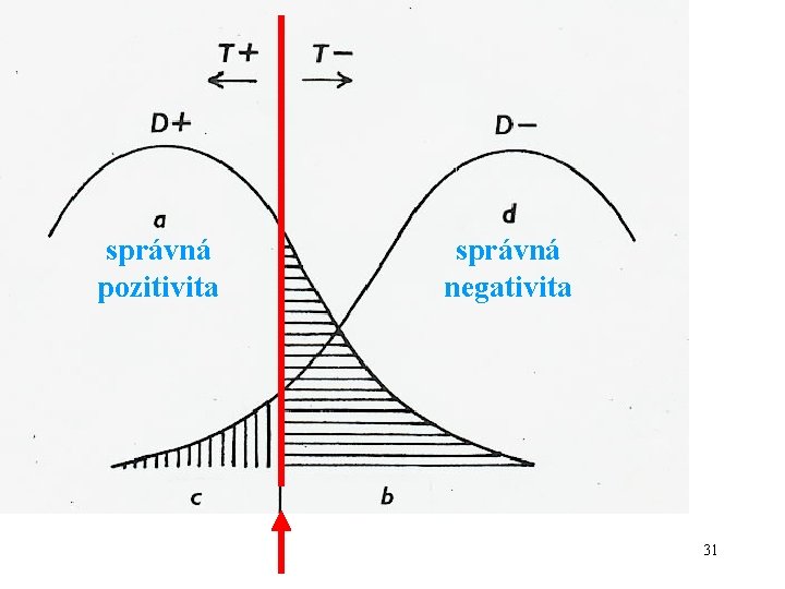 správná pozitivita správná negativita 31 