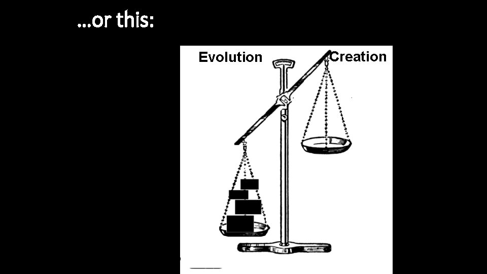 …or this: Evolution Creation 