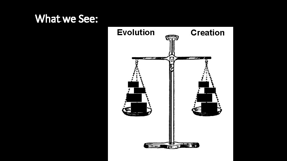 What we See: Evolution Creation 